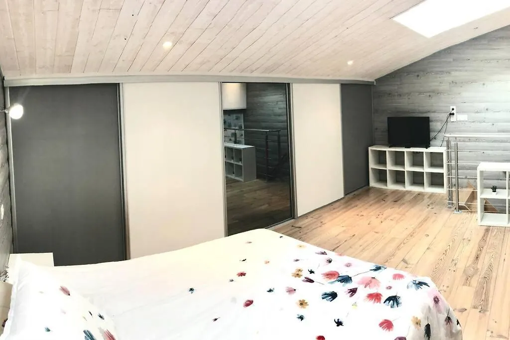 Duplex Atypique 20' De Toulouse Apartamento Leguevin 0*,  França